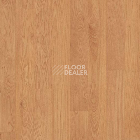 Линолеум Forbo Eternal Wood 11542 traditional oak фото 1 | FLOORDEALER